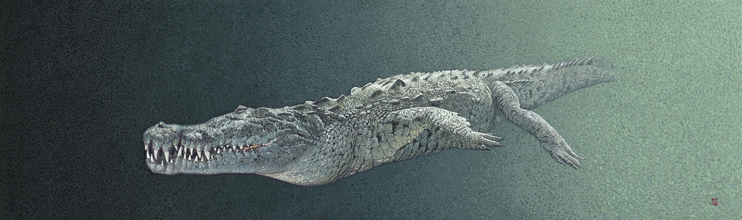 Saltwater Crocodile 02 The Life Underwater Drawing Illustration